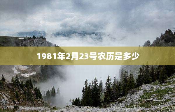 1981年2月23号农历是多少