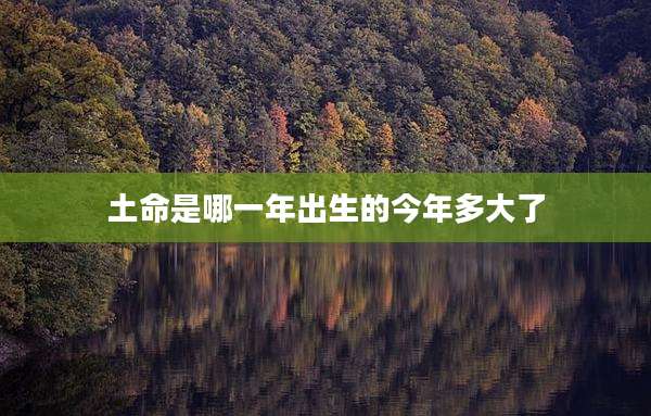 土命是哪一年出生的今年多大了
