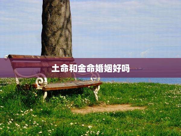 土命和金命婚姻好吗