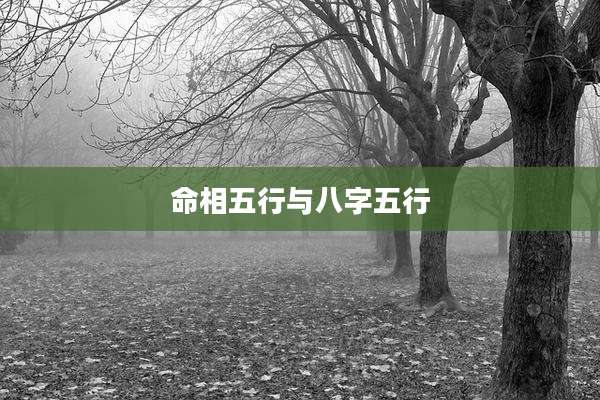 命相五行与八字五行