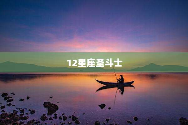 12星座圣斗士