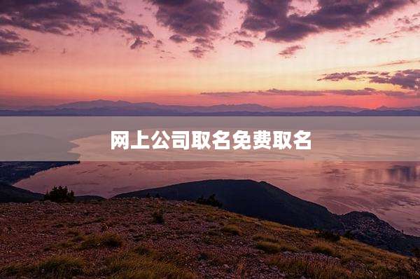网上公司取名免费取名
