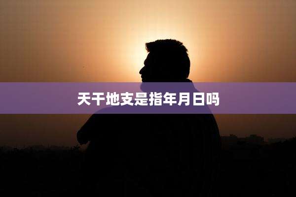 天干地支是指年月日吗
