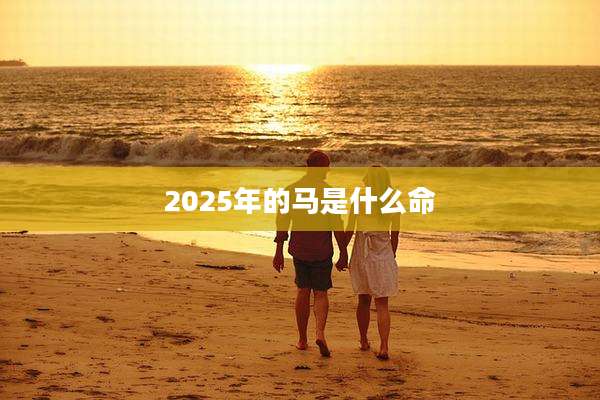 2025年的马是什么命