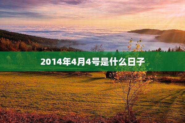 2014年4月4号是什么日子
