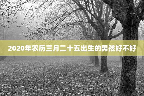 2020年农历三月二十五出生的男孩好不好
