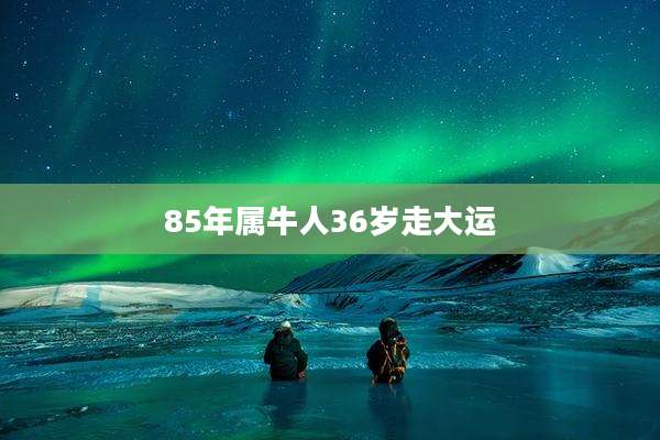 85年属牛人36岁走大运
