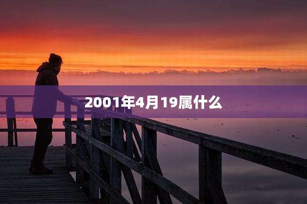 2001年4月19属什么