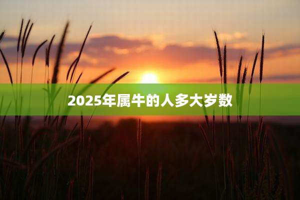 2025年属牛的人多大岁数