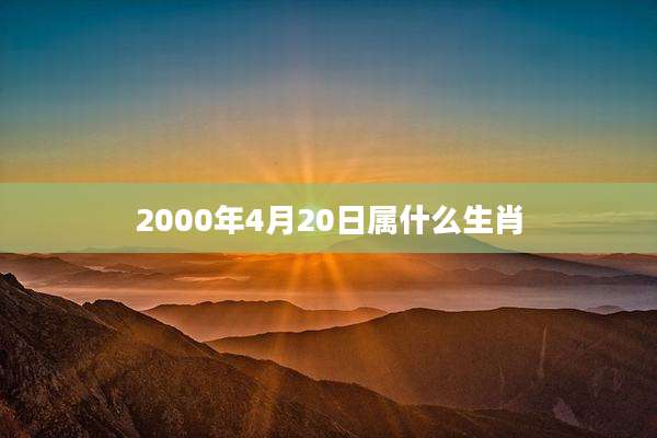 2000年4月20日属什么生肖