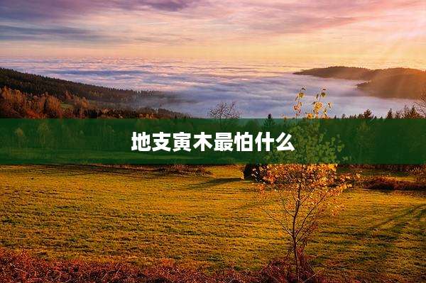 地支寅木最怕什么