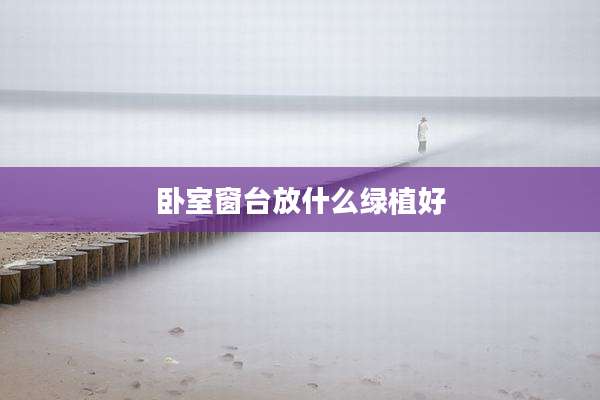 卧室窗台放什么绿植好