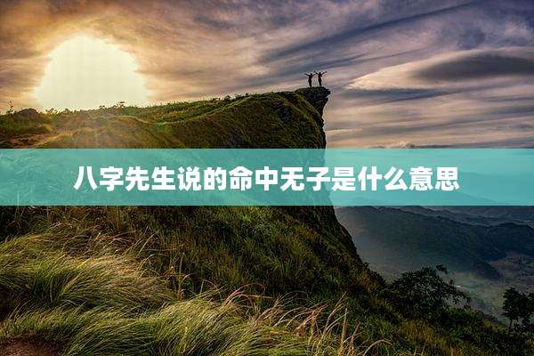 八字先生说的命中无子是什么意思