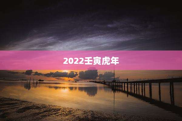 2022壬寅虎年