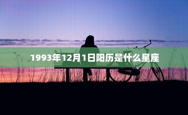 1993年12月1日阳历是什么星座