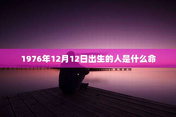 1976年12月12日出生的人是什么命