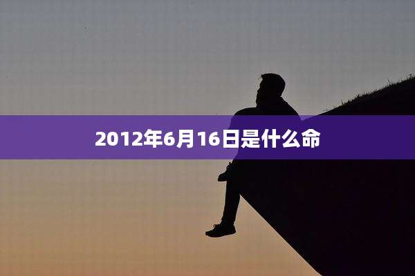 2012年6月16日是什么命