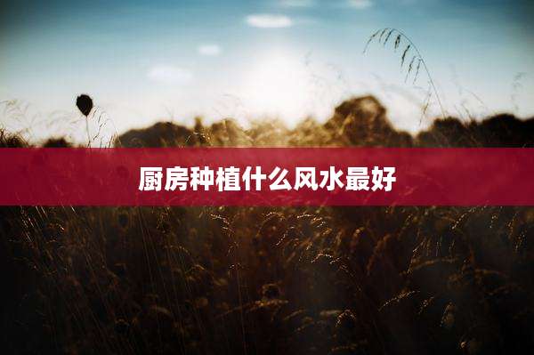 厨房种植什么风水最好