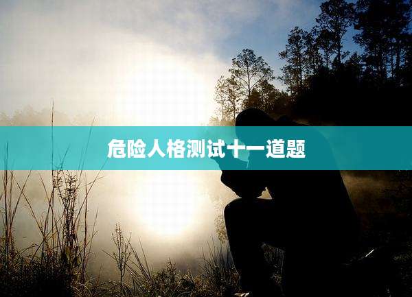 危险人格测试十一道题