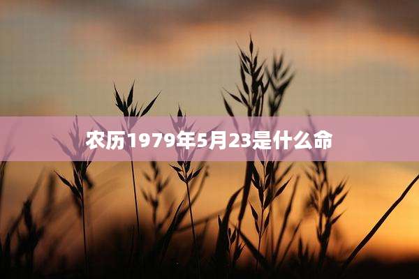 农历1979年5月23是什么命
