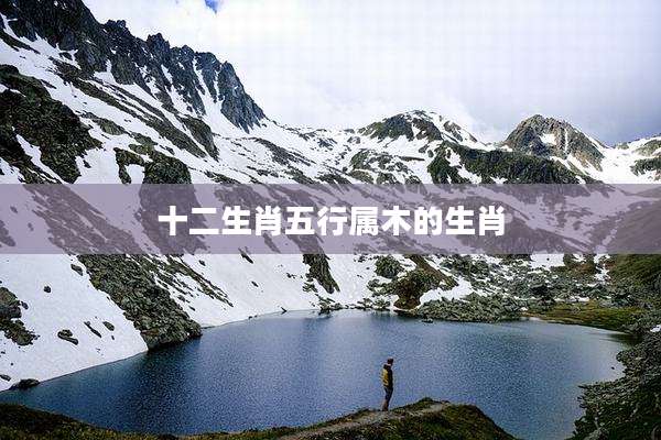 十二生肖五行属木的生肖