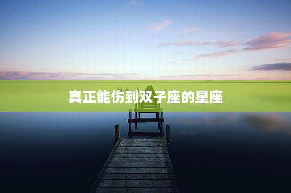 真正能伤到双子座的星座
