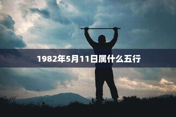 1982年5月11日属什么五行