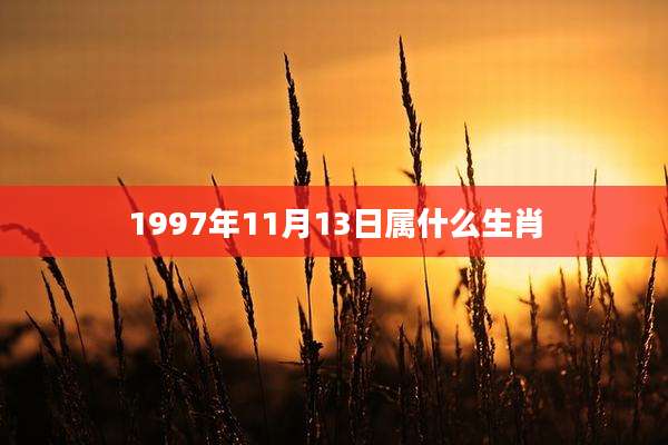 1997年11月13日属什么生肖