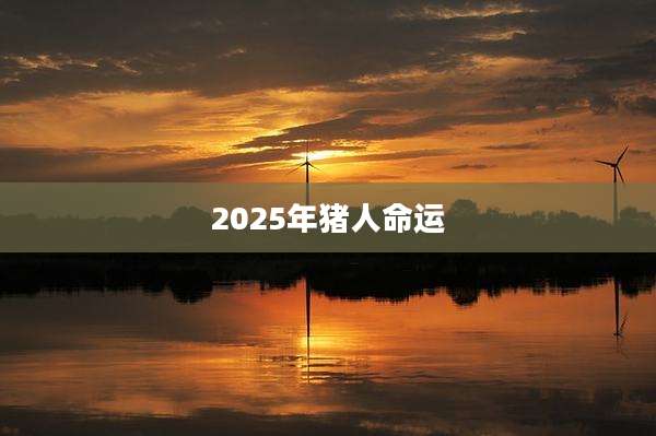 2025年猪人命运