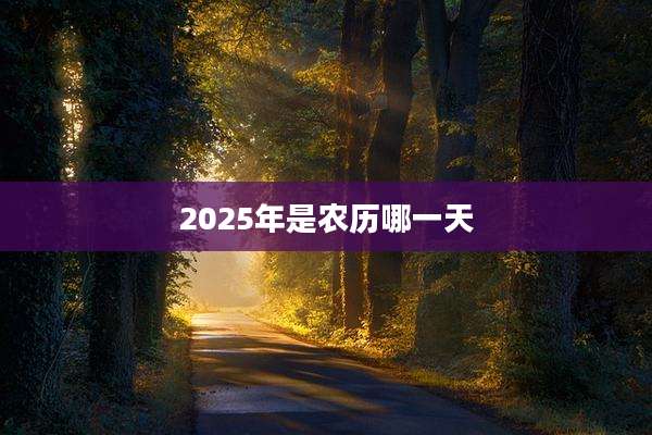 2025年是农历哪一天