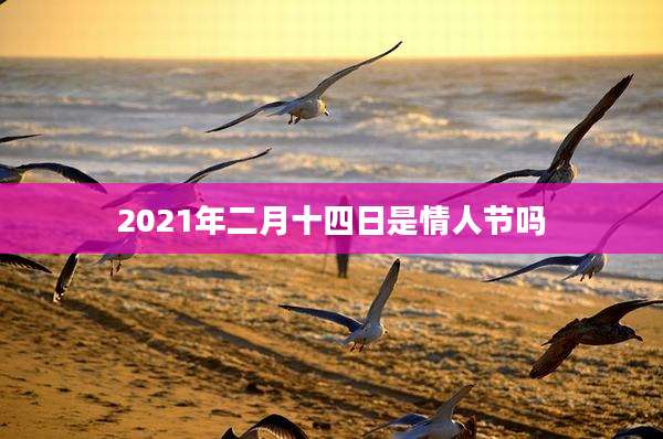 2021年二月十四日是情人节吗