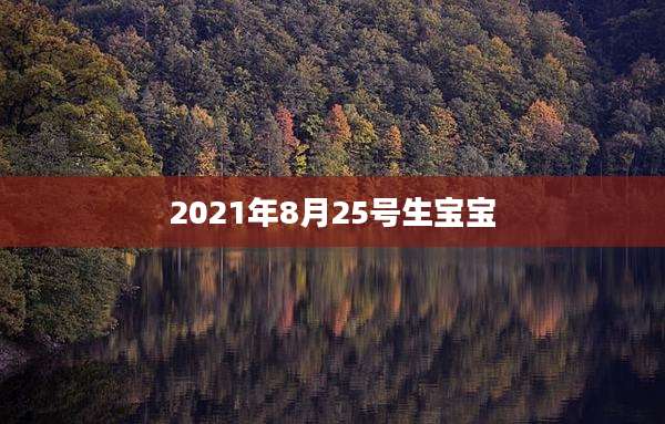 2021年8月25号生宝宝