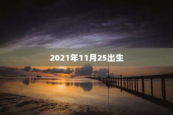 2021年11月25出生