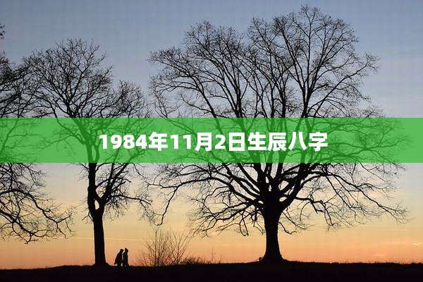 1984年11月2日生辰八字