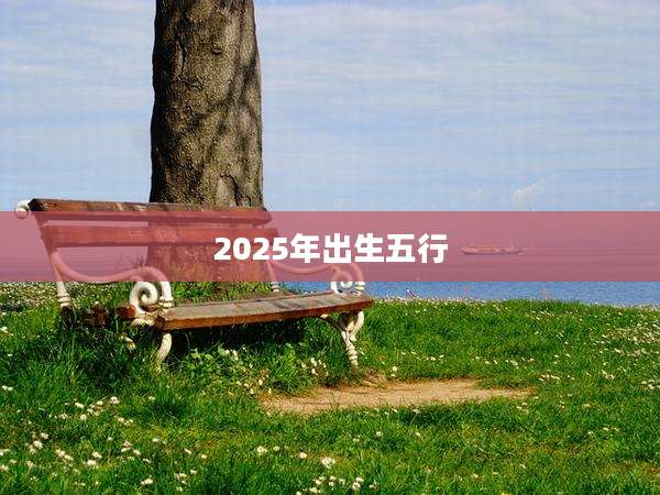 2025年出生五行