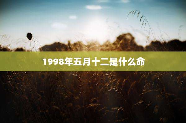 1998年五月十二是什么命