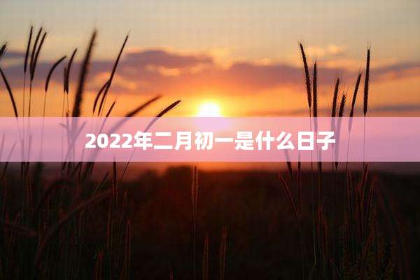 2022年二月初一是什么日子