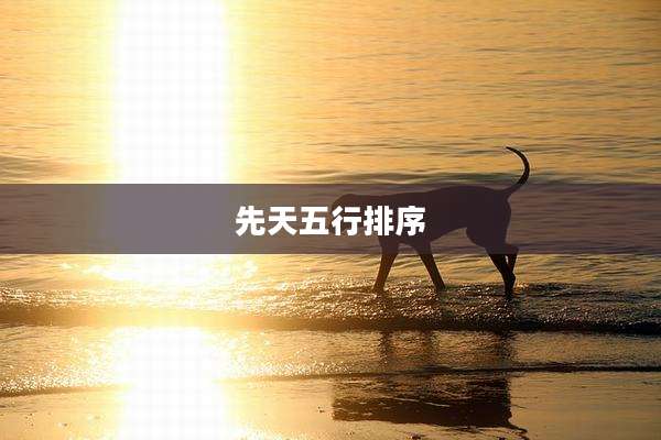 先天五行排序