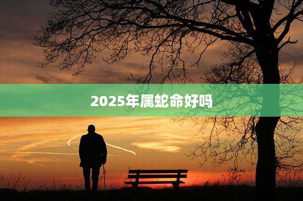 2025年属蛇命好吗