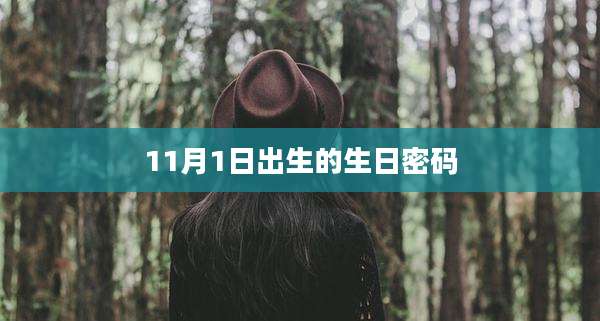 11月1日出生的生日密码
