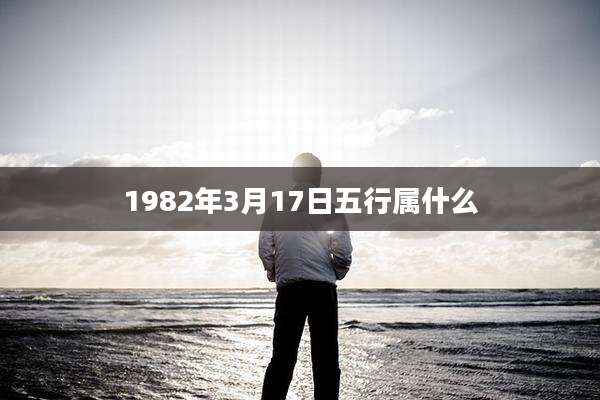 1982年3月17日五行属什么