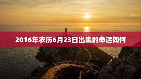 2016年农历6月23日出生的命运如何