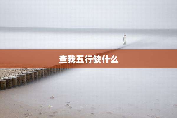 查我五行缺什么