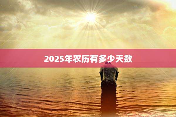 2025年农历有多少天数