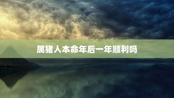 属猪人本命年后一年顺利吗