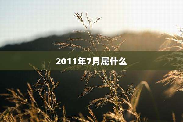 2011年7月属什么