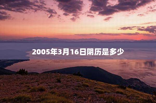 2005年3月16日阴历是多少