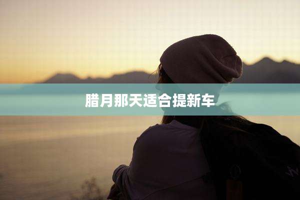 腊月那天适合提新车