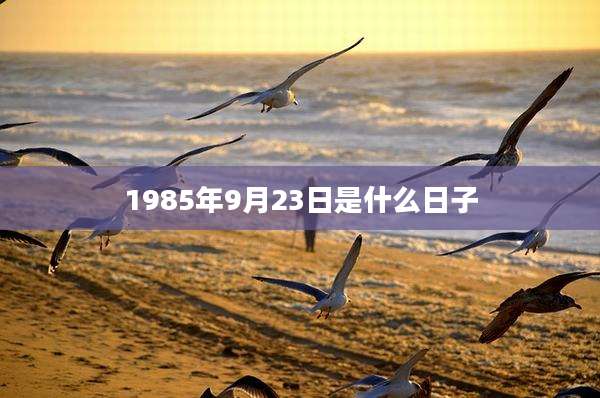 1985年9月23日是什么日子