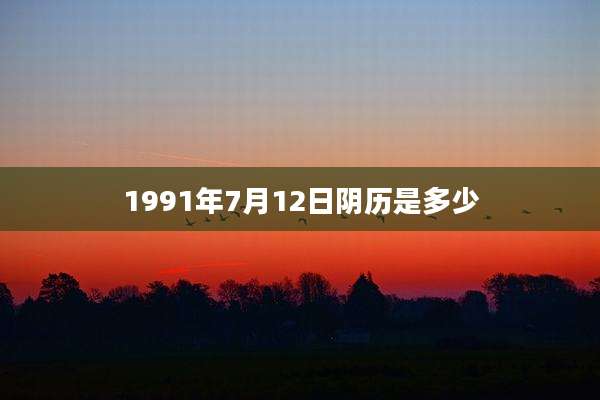 1991年7月12日阴历是多少